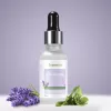 Lavender Essential Oil-25ml